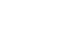 Reachbird
